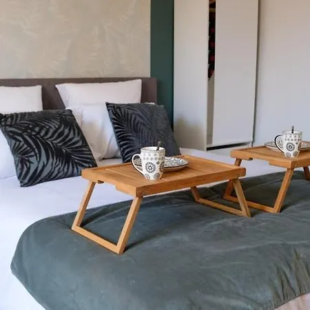 Le Petit Capitole - Renove A 2 Pas Du Capitole Daire