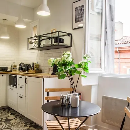 Le Petit Capitole - Rénové à 2 Pas Du Capitole Toulouse