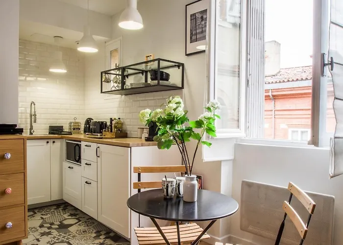 Le Petit Capitole - Renove A 2 Pas Du Capitole Toulouse